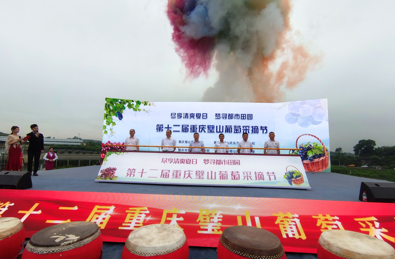 三万亩葡萄“甜蜜”来袭——第十二届璧山葡萄采摘节开幕-中国网