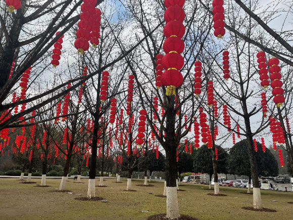 重慶園博園內懸挂了一萬個大小燈籠營造節日氛圍。園博園供圖 華龍網-新重慶客戶端發