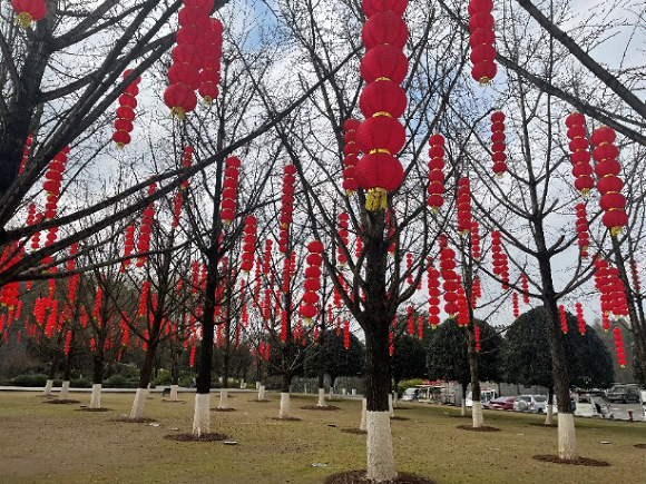 重庆园博园内悬挂了一万个大小灯笼营造节日氛围。园博园供图 华龙网-新重庆客户端发