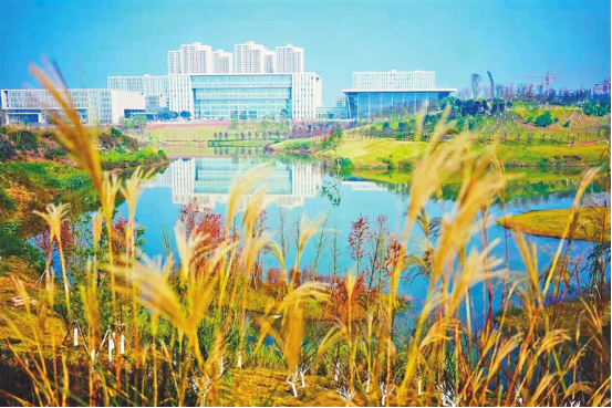 重慶沙坪壩：建好望山見水的“人民城市”