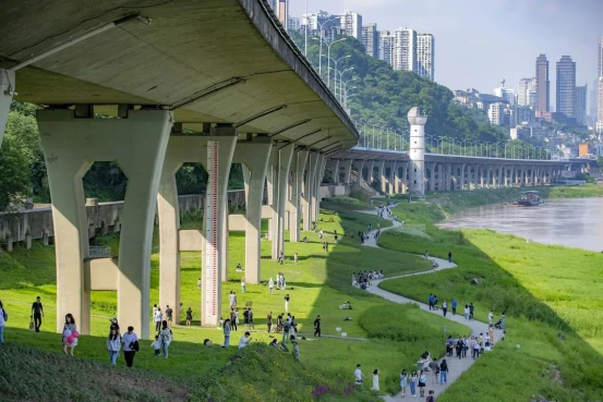 重庆渝中：大力推进生态文明建设 描绘生机盎然绿色画卷